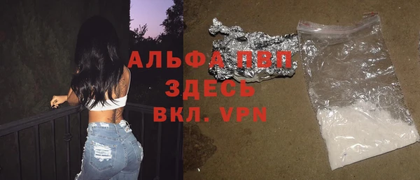 дживик Ветлуга
