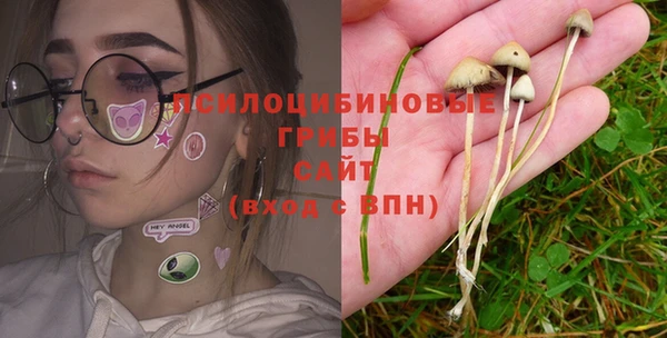 ГАЛЛЮЦИНОГЕННЫЕ ГРИБЫ Видное