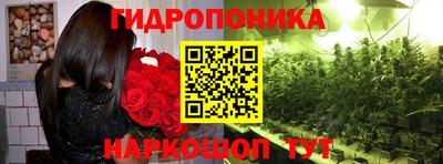 гидра Усть-Джегута