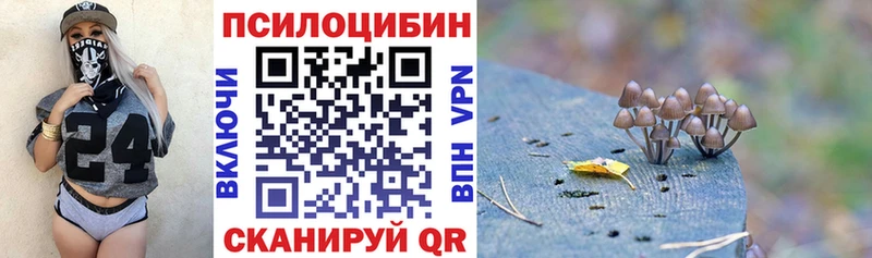 наркота  Тутаев  мега ссылка  Галлюциногенные грибы Psilocybine cubensis 