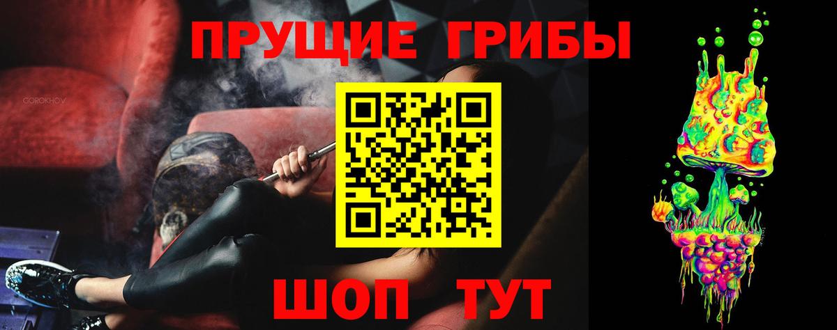 Тутаев  Галлюциногенные грибы прущие грибы  Вход с VPN 